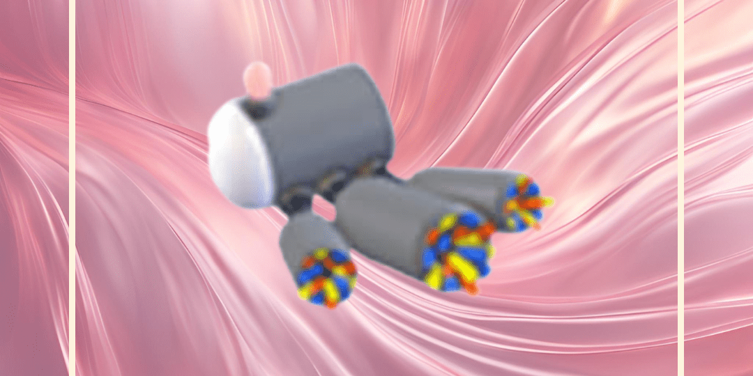 2022 Birthday Confetti Cannon - Earthtog.com