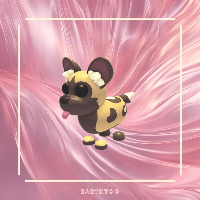 African Wild Dog