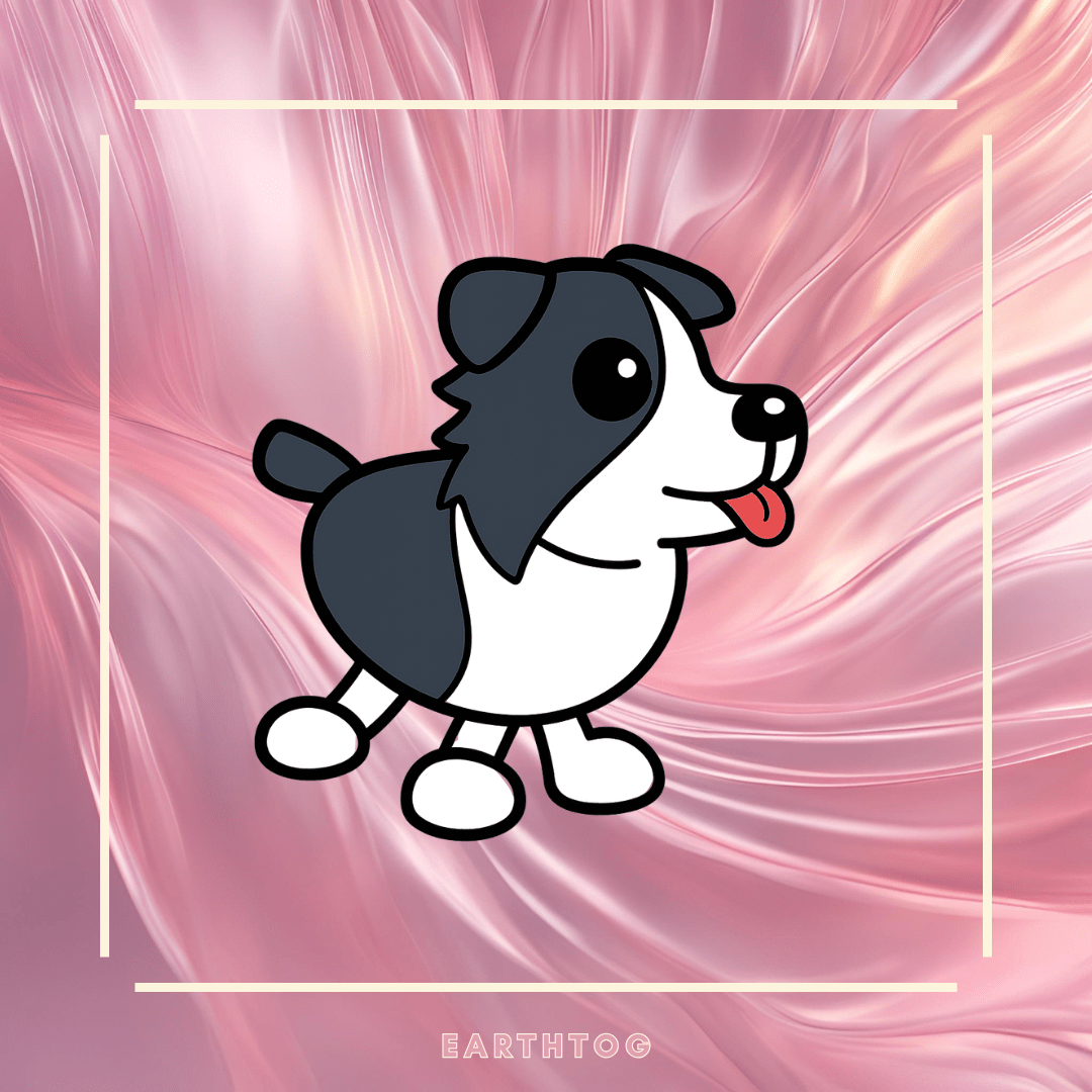 Border Collie - Earthtog.com