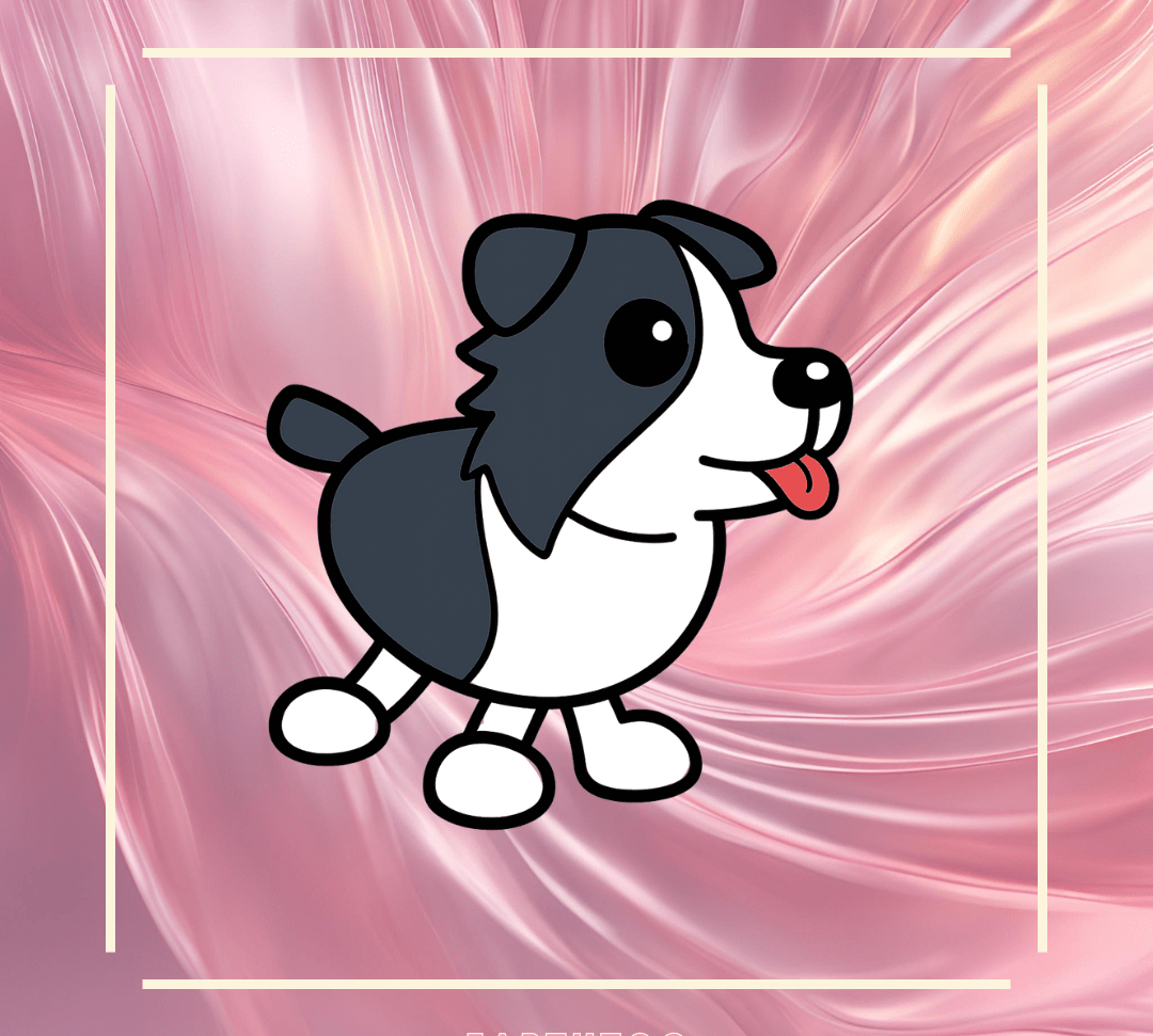 Border Collie - Earthtog.com