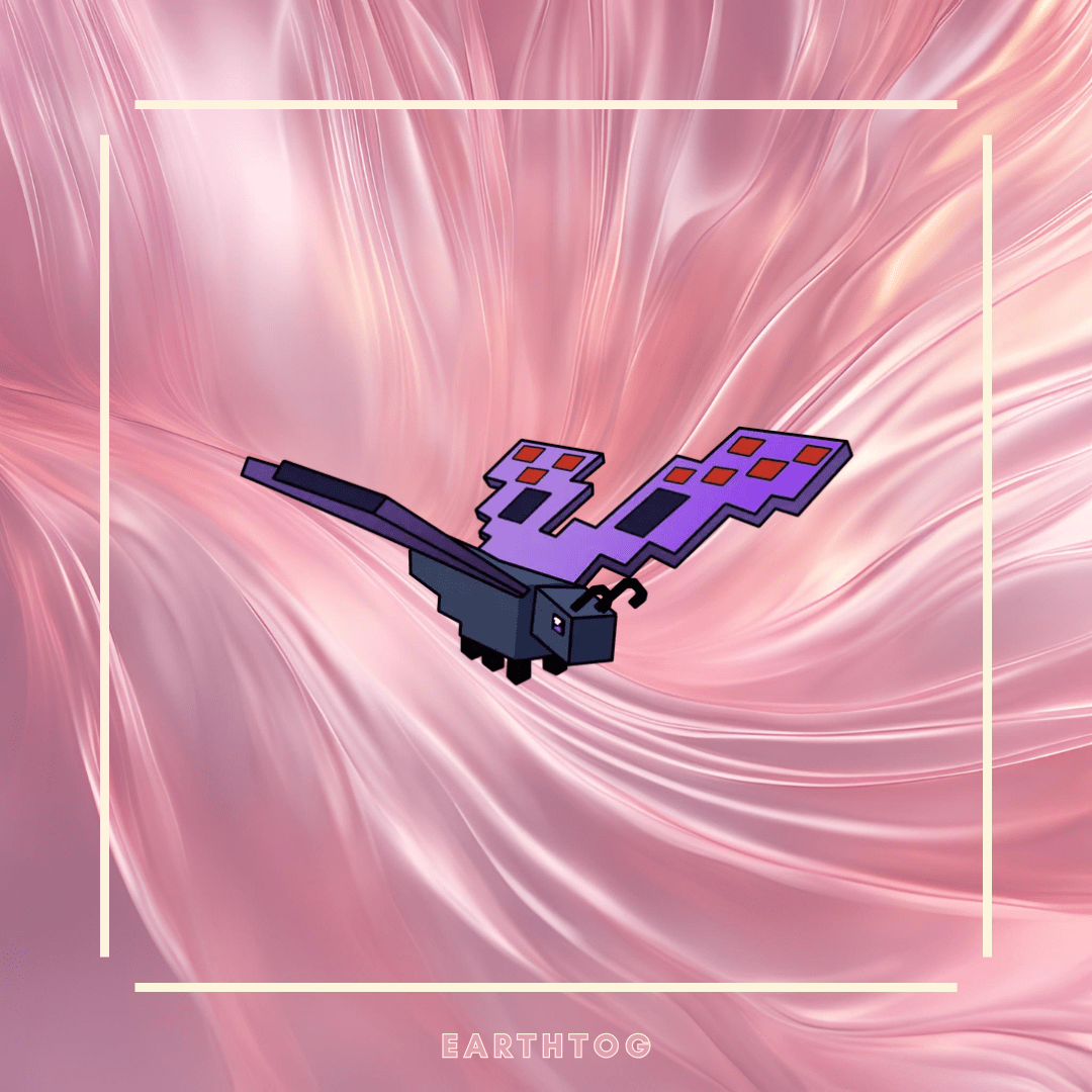 Butterfly - Earthtog.com