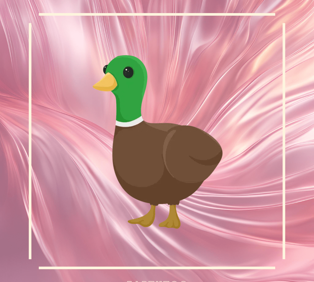 Drake - Earthtog.com