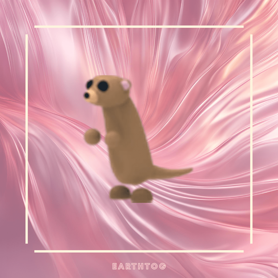 Meerkat - Earthtog.com