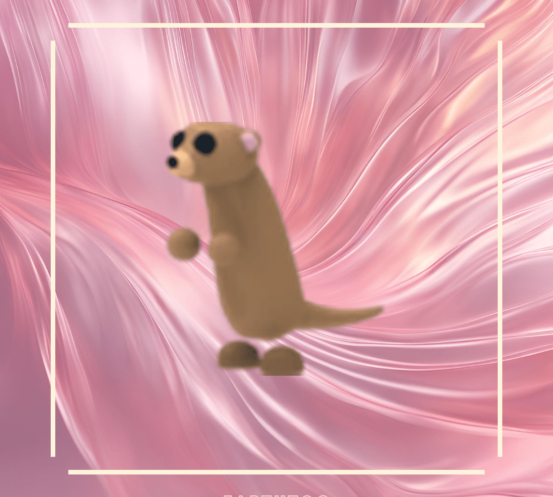 Meerkat - Earthtog.com