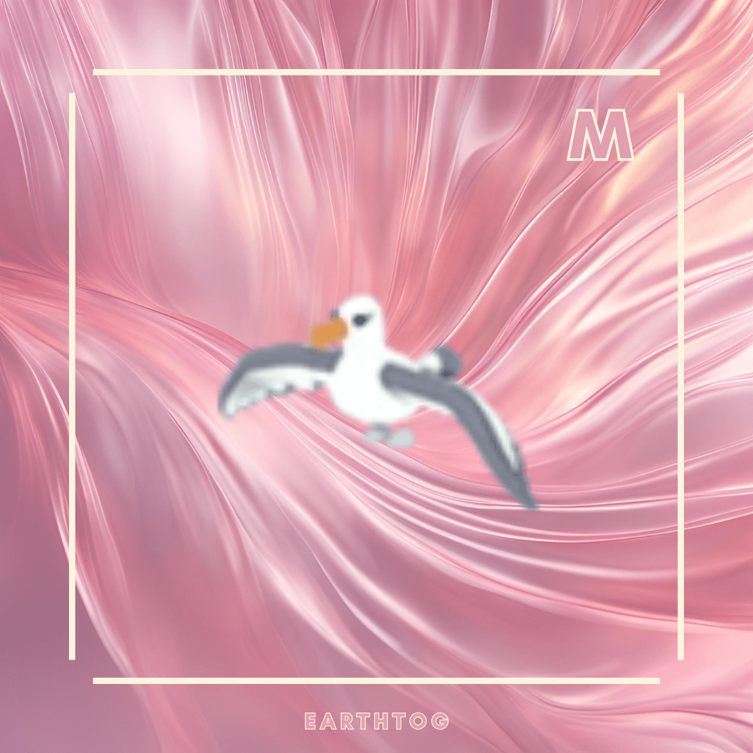 Mega Albatross - Earthtog.com
