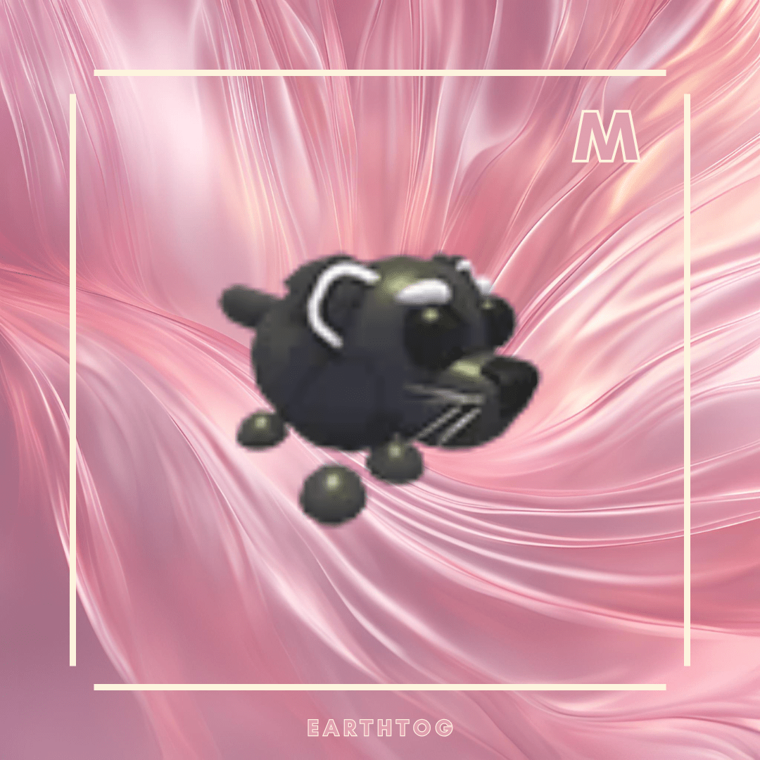 Mega Binturong - Earthtog.com