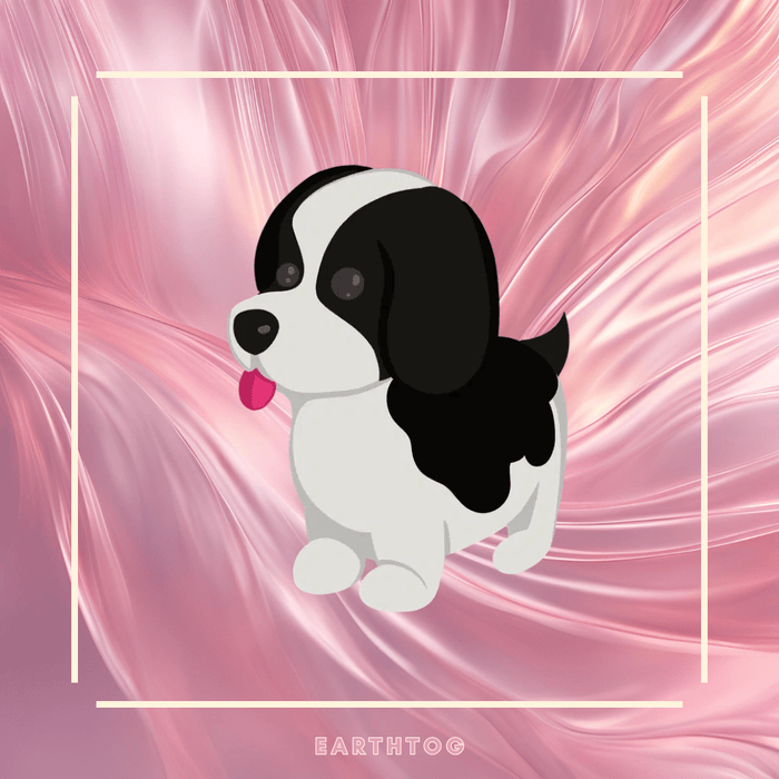 Mega Black Springer Spaniel