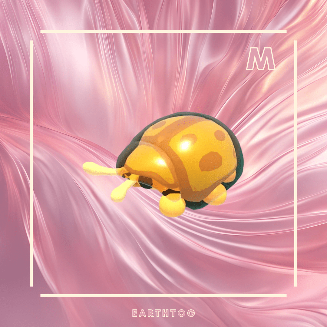 Mega Golden Tortoise Beetle - Earthtog.com