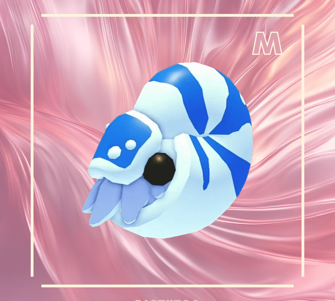 Mega Nautilus - Earthtog.com