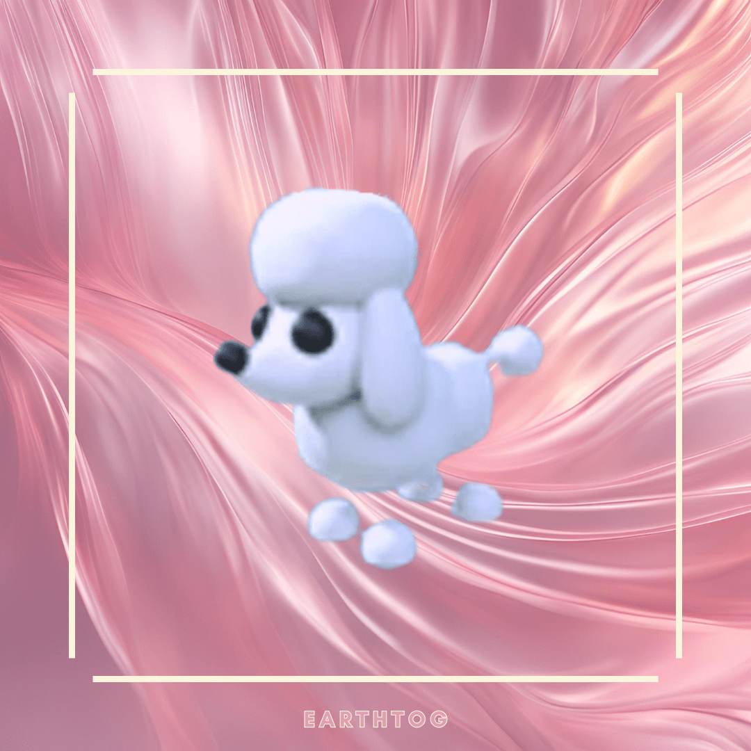 Mega Poodle - Earthtog.com