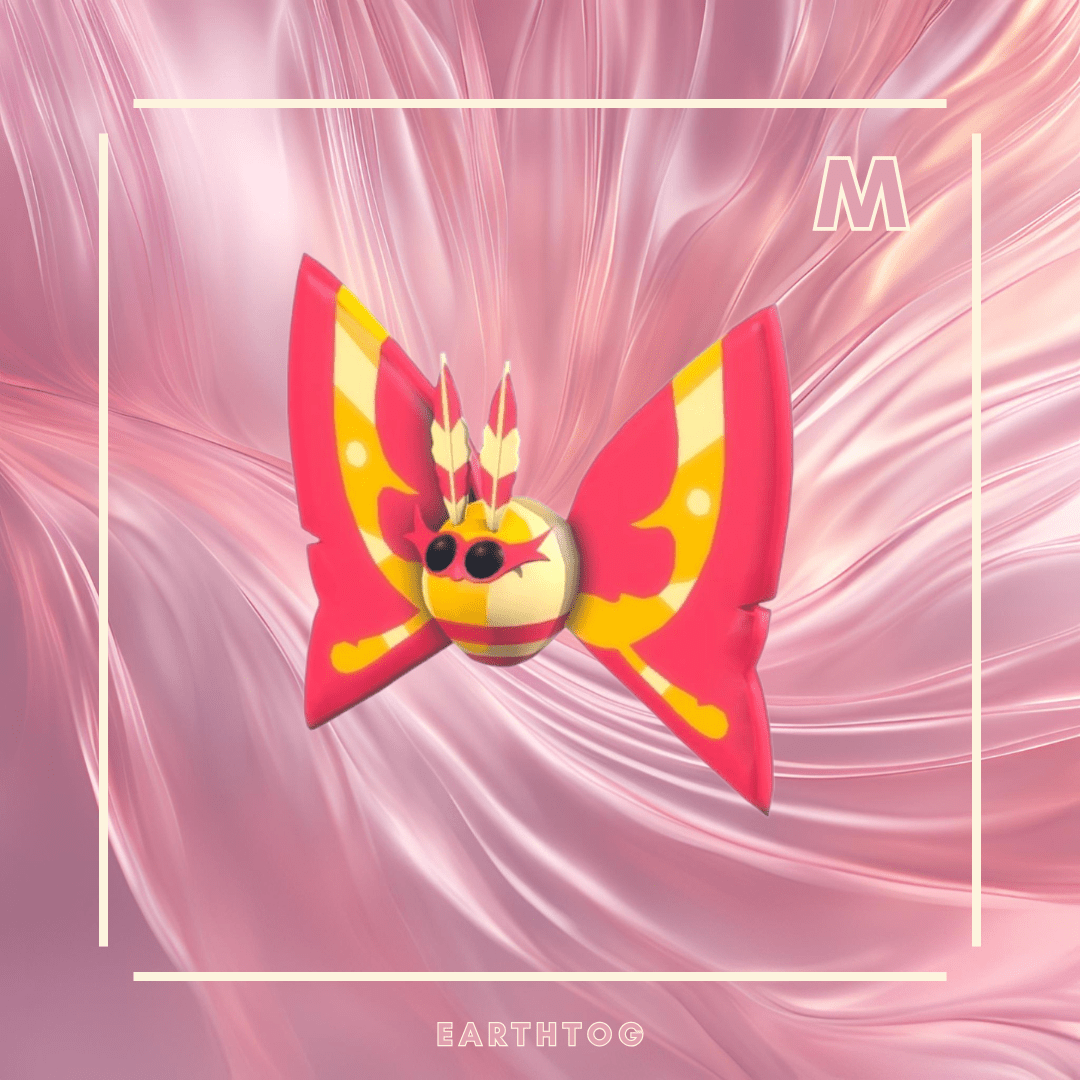 Mega Rosy Maple Moth - Earthtog.com