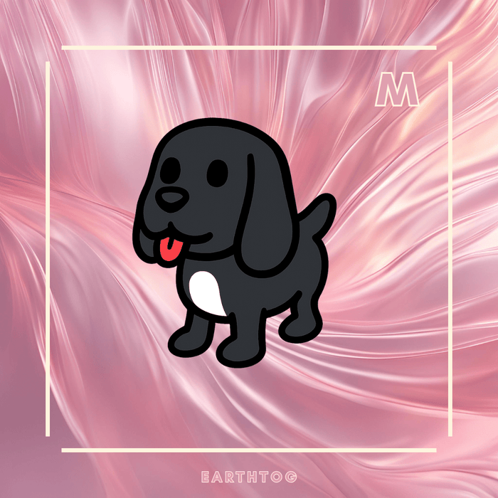 MFR Royal Palace Spaniel