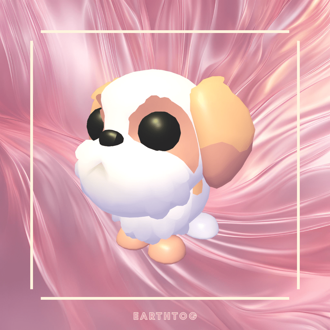 Mega Shih Tzu - Earthtog.com