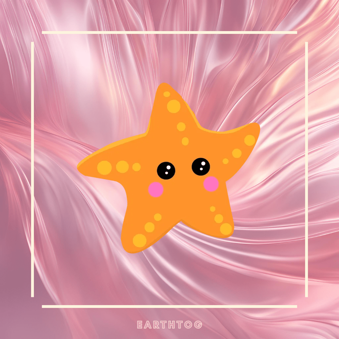 Mega Starfish - Earthtog.com
