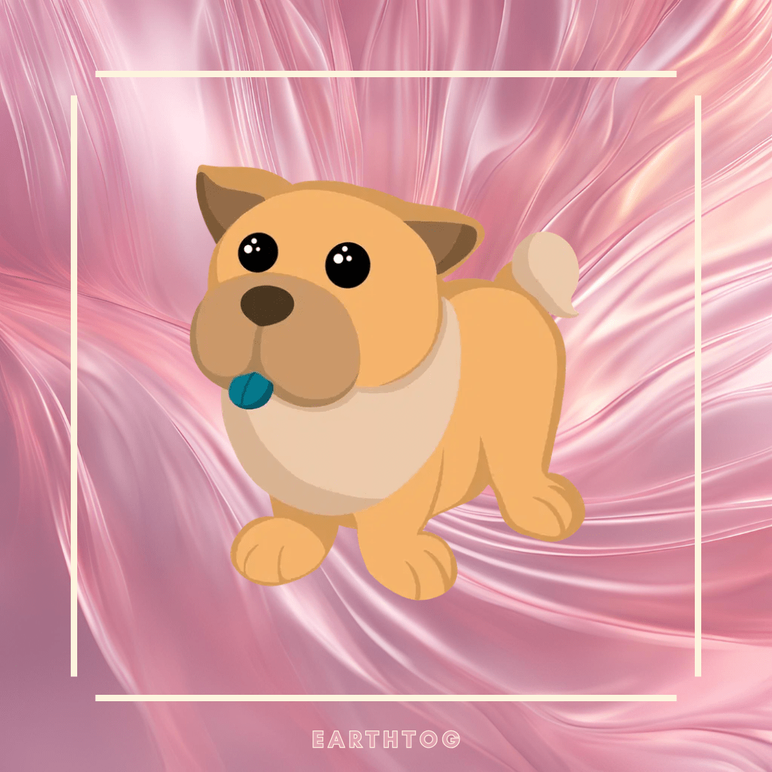 Mega Tan Chow Chow - Earthtog.com