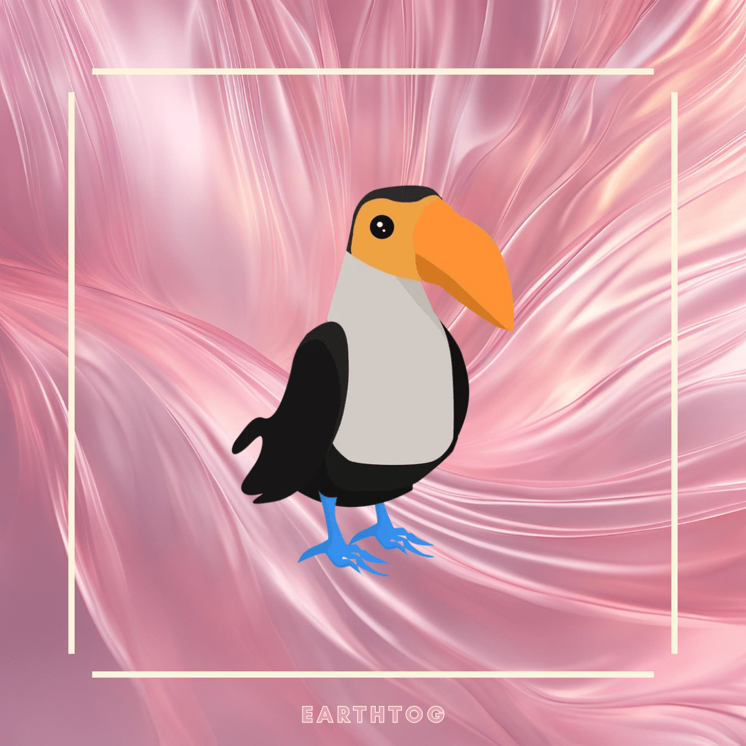 Mega Toucan - Earthtog.com
