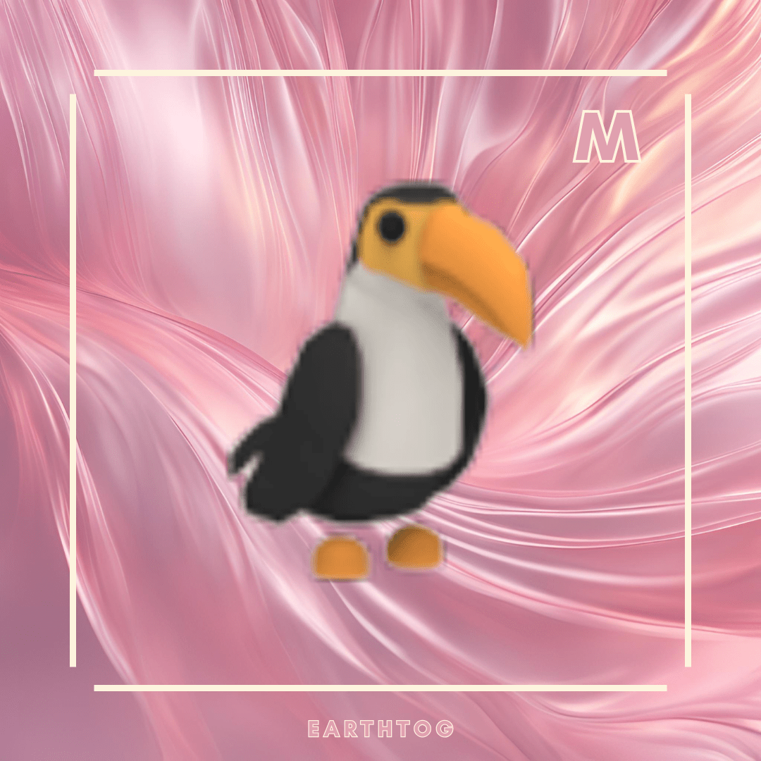 Mega Toucan - Earthtog.com