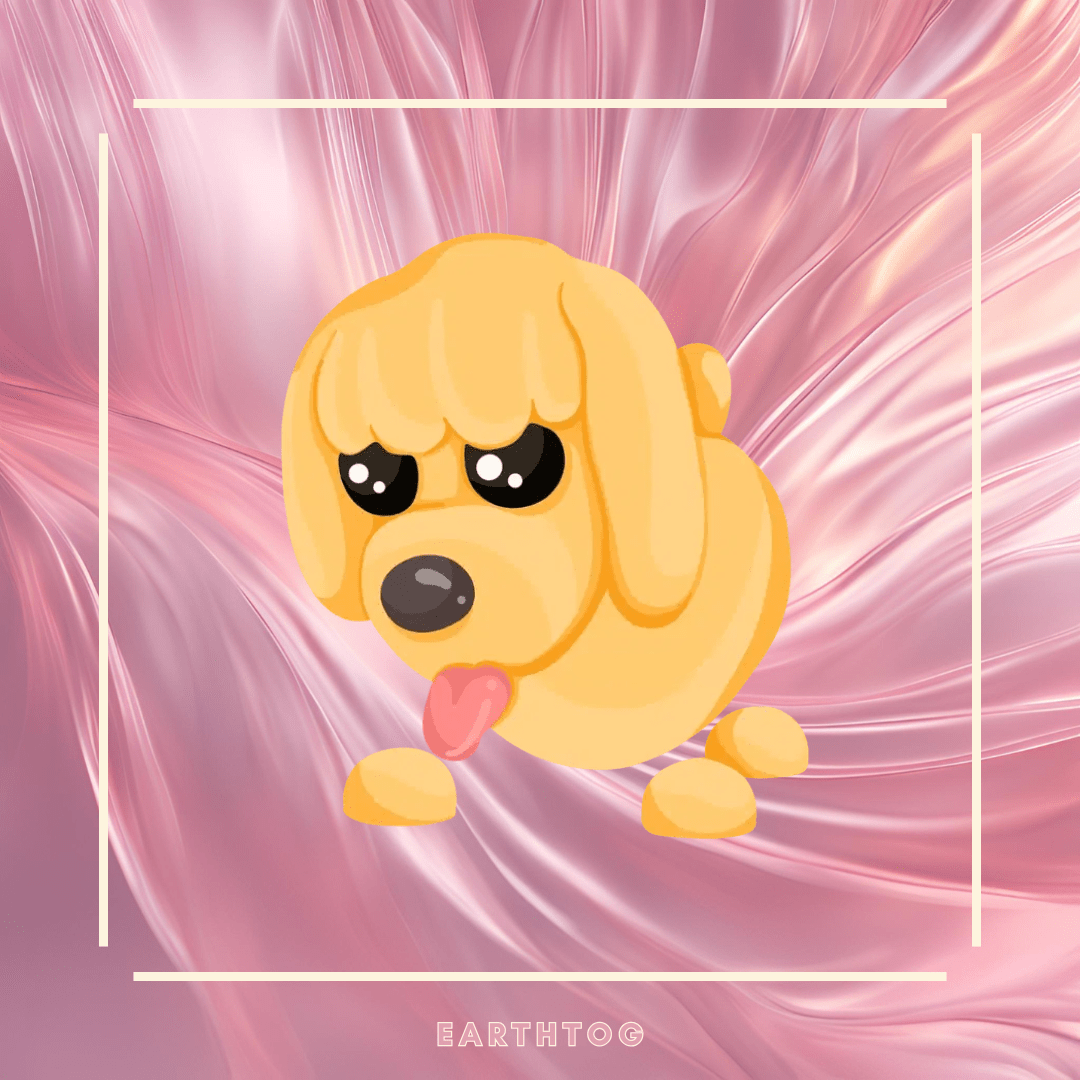 Mega Toy Poodle - Earthtog.com