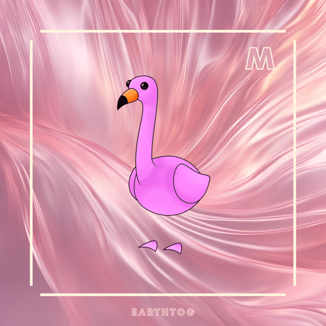MFR Flamingo - Earthtog.com