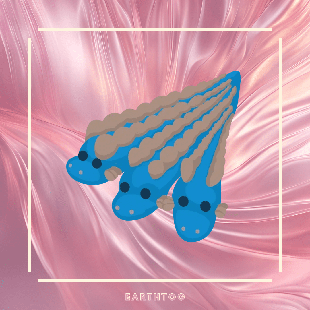 MFR Hydra - Earthtog.com