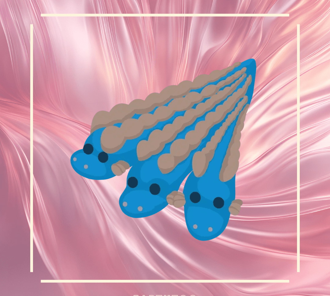 MFR Hydra - Earthtog.com