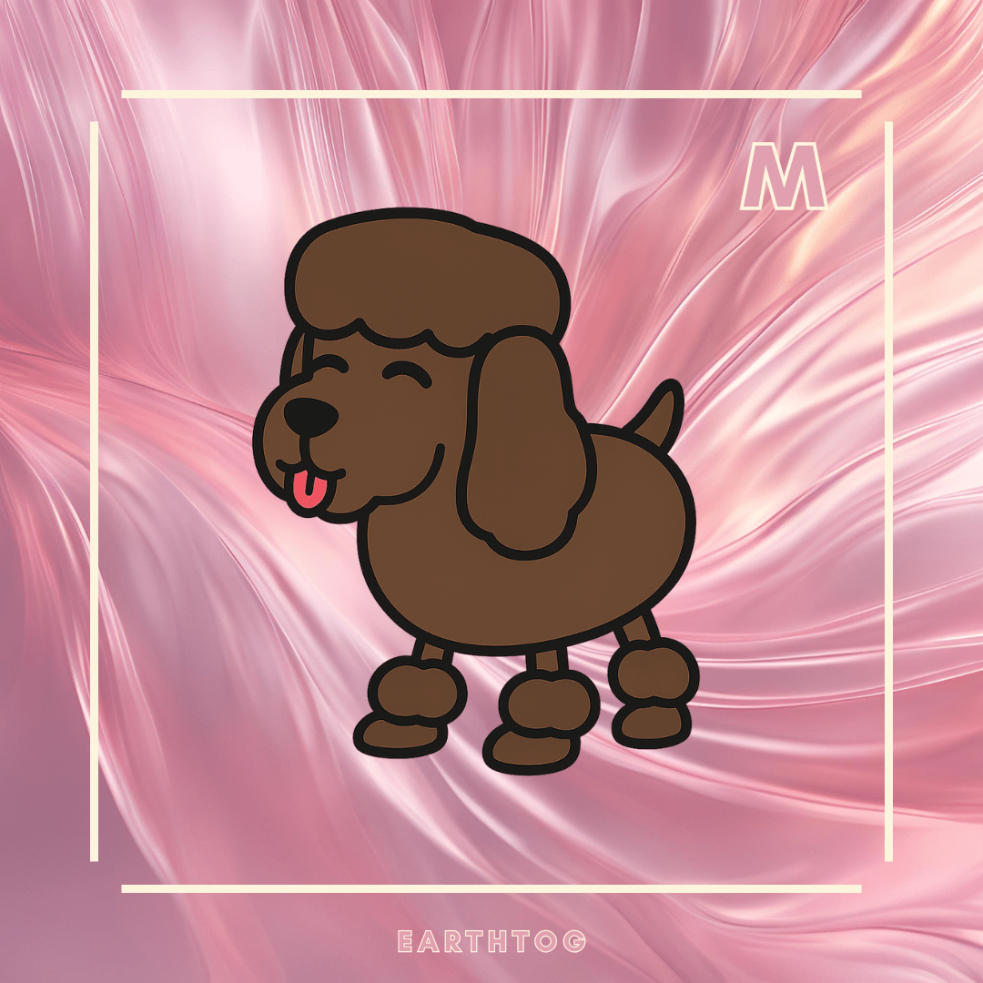 MFR Irish Water Spaniel - Earthtog.com