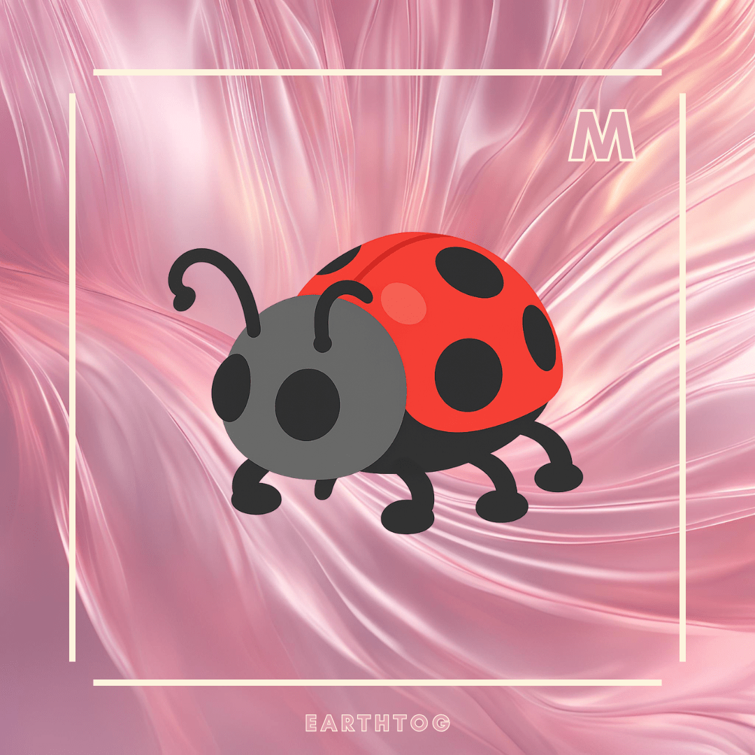 MFR Ladybug - Earthtog.com
