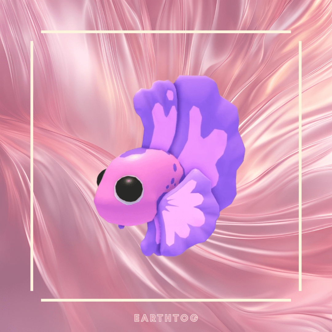 MFR Pink Betta Fish - Earthtog.com