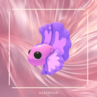 Mega Pink Betta Fish