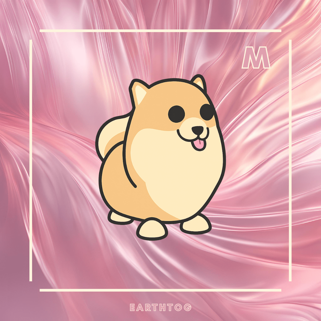 MFR Pomeranian - Earthtog.com