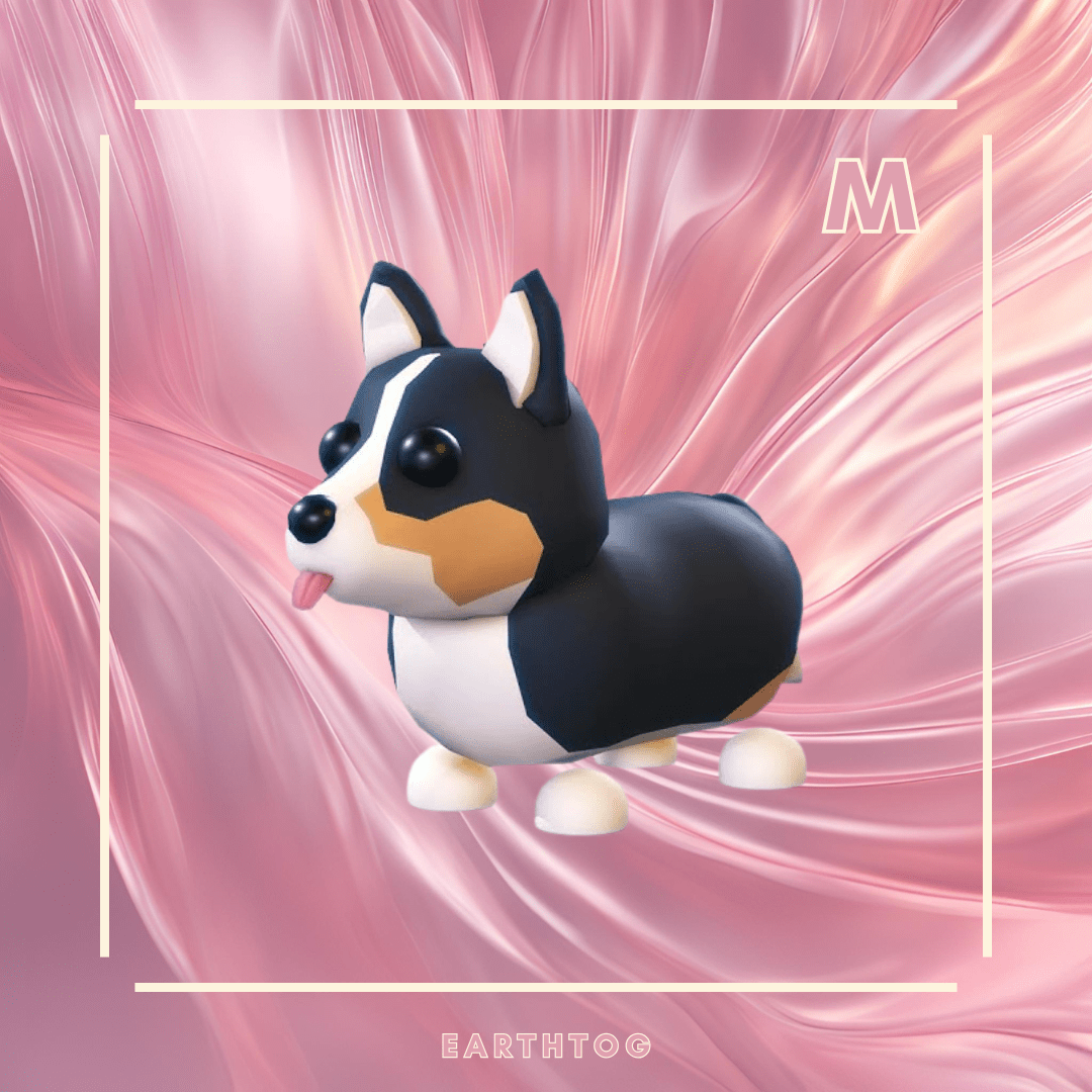 MFR Royal Corgi - Earthtog.com