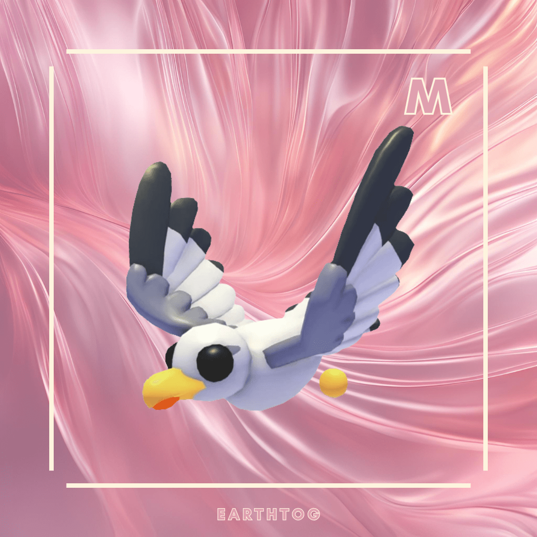 MFR Seagull - Earthtog.com