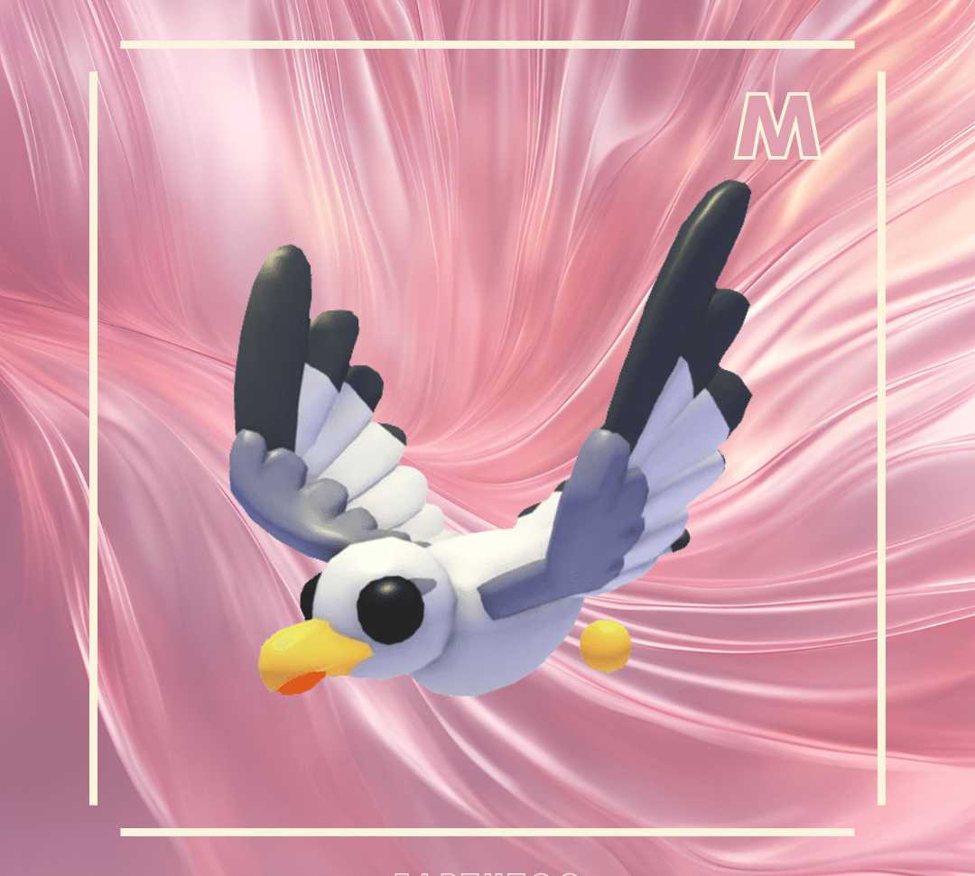 MFR Seagull - Earthtog.com