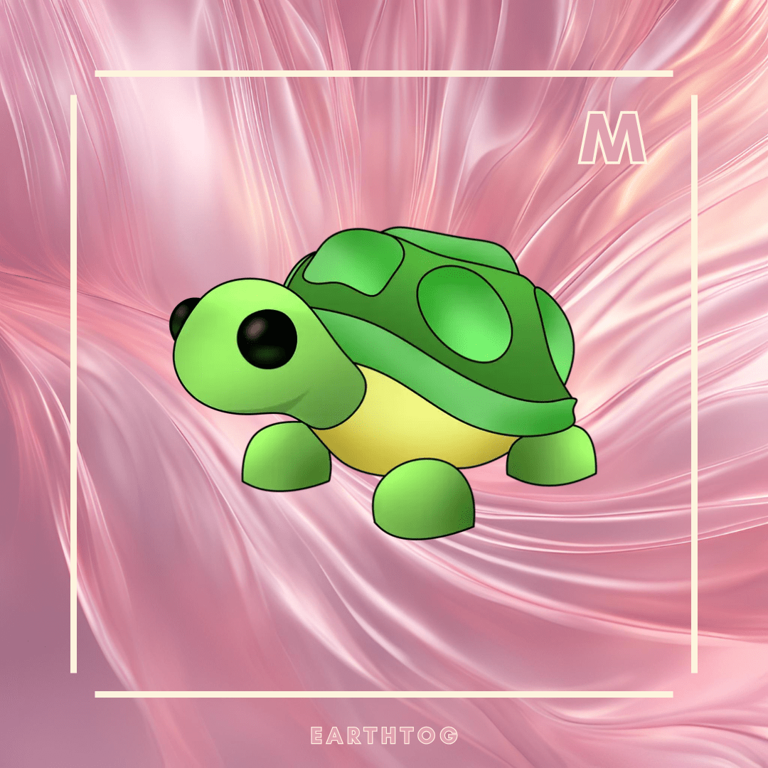 MFR Turtle - Earthtog.com