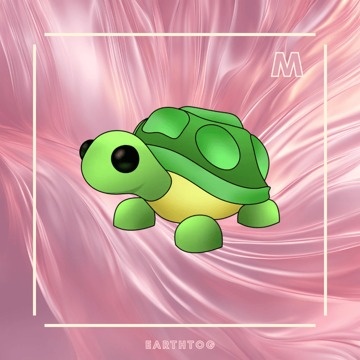 MFR Turtle