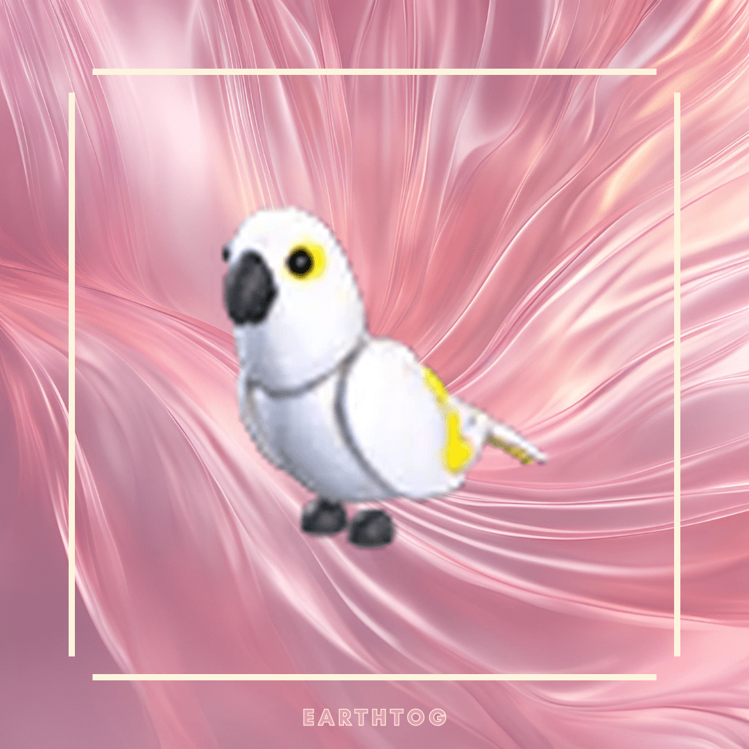 MFR White Amazon - Earthtog.com