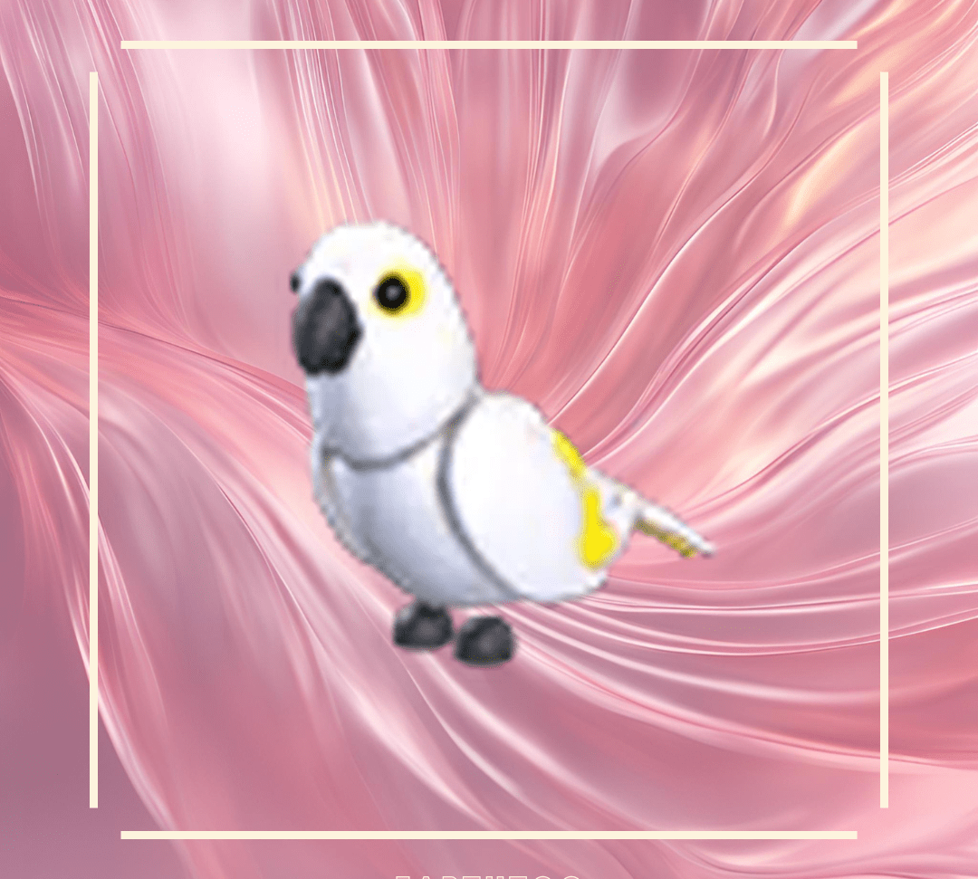 MFR White Amazon - Earthtog.com