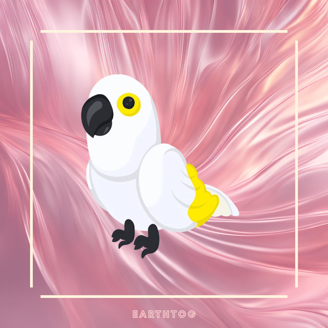 MFR White Amazon - Earthtog.com