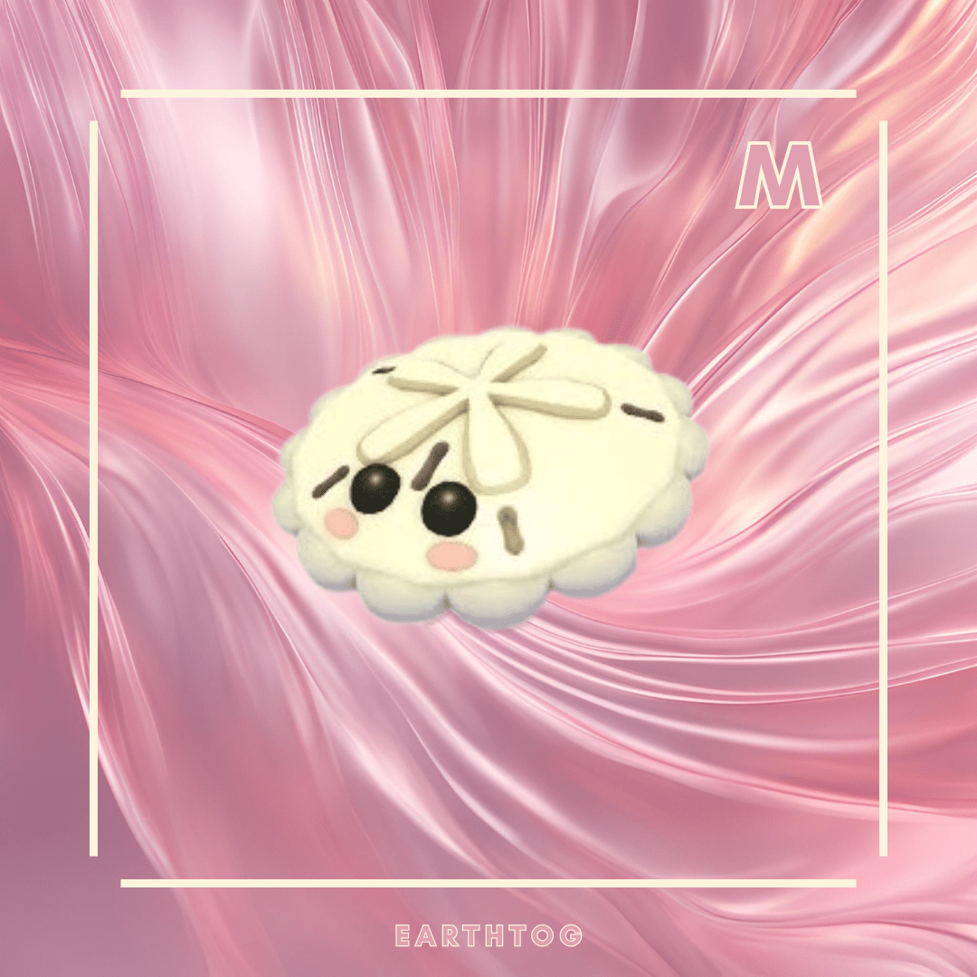 MFR White Sand Dollar - Earthtog.com
