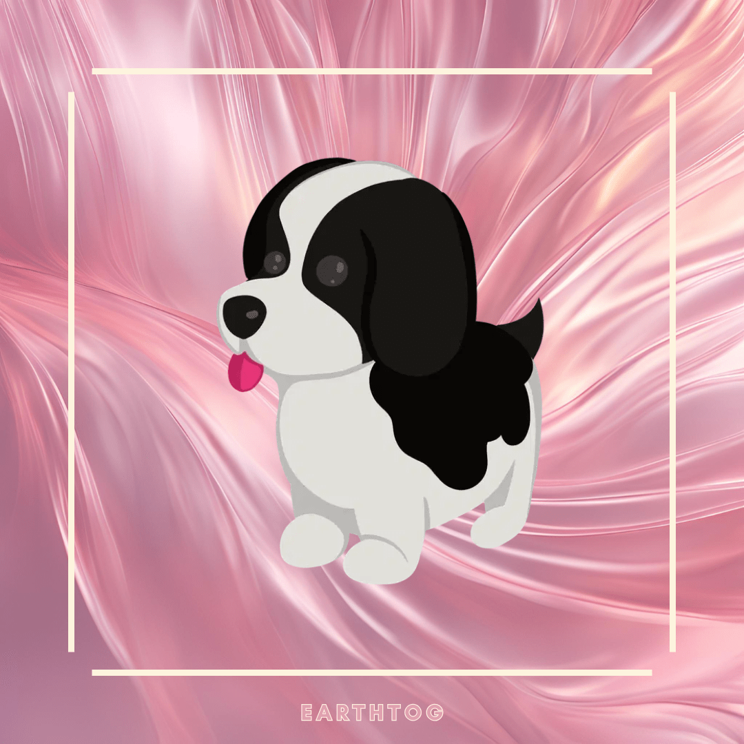 Neon Black Springer Spaniel - Earthtog.com
