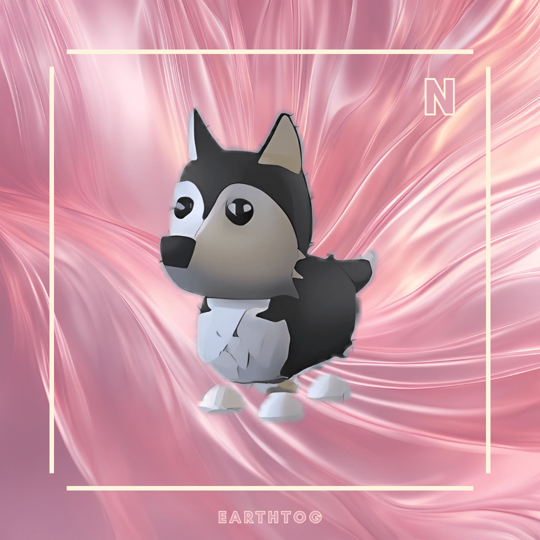 Neon Husky - Earthtog.com