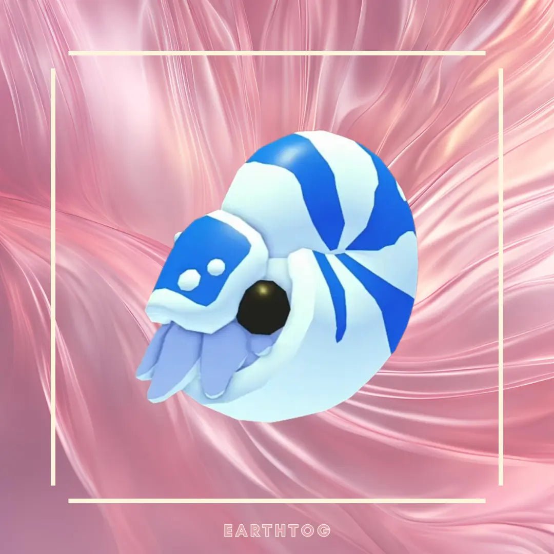 Neon Nautilus - Earthtog.com