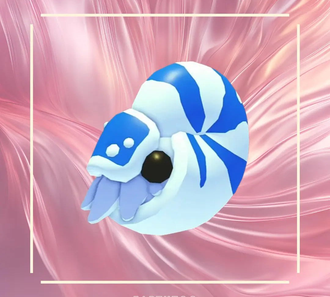 Neon Nautilus - Earthtog.com