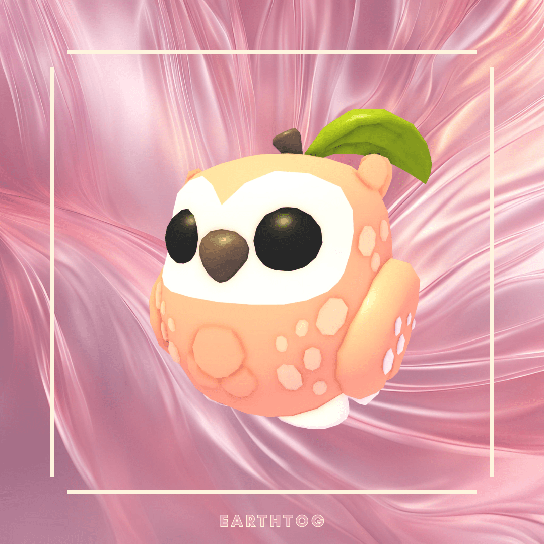 Neon Peach Owl - Earthtog.com