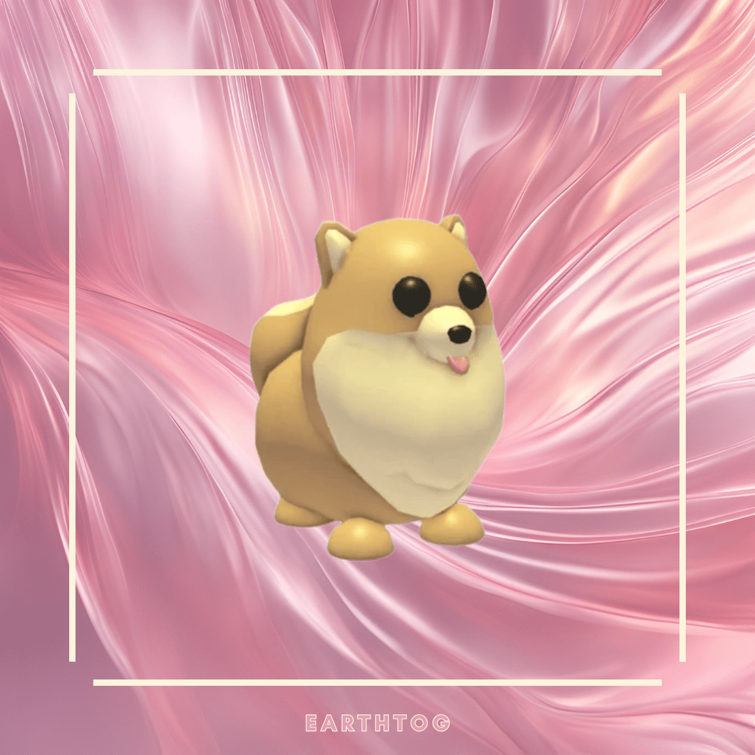 Neon Pomeranian - Earthtog.com