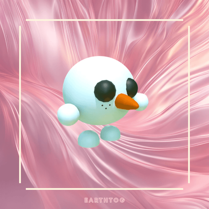 Snowball Pet