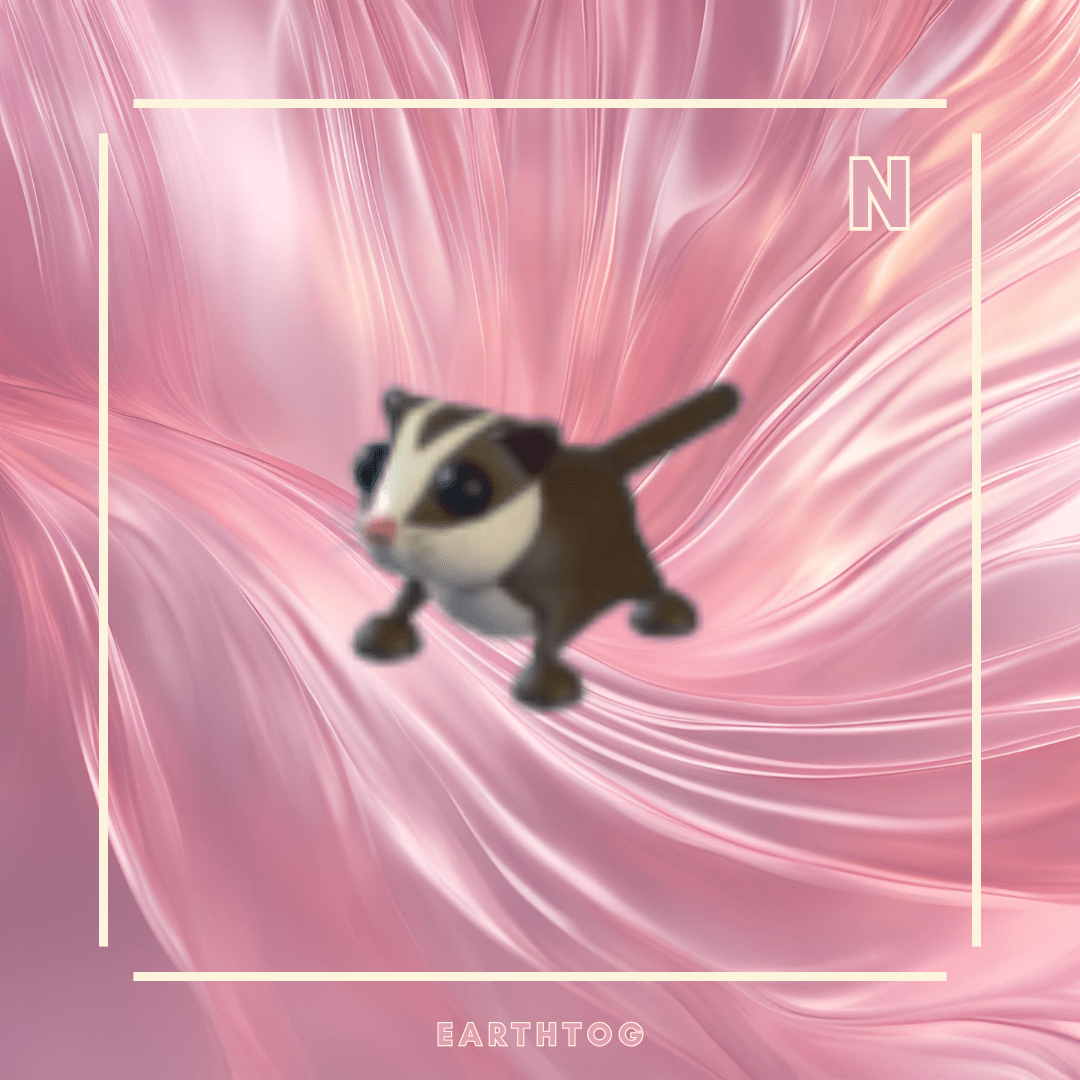 Neon Sugar Glider - Earthtog.com
