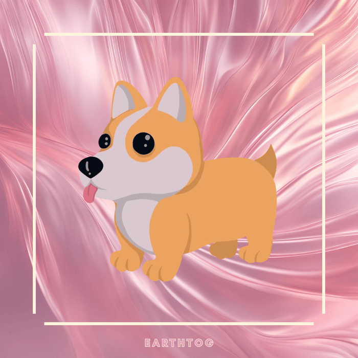 Corgi
