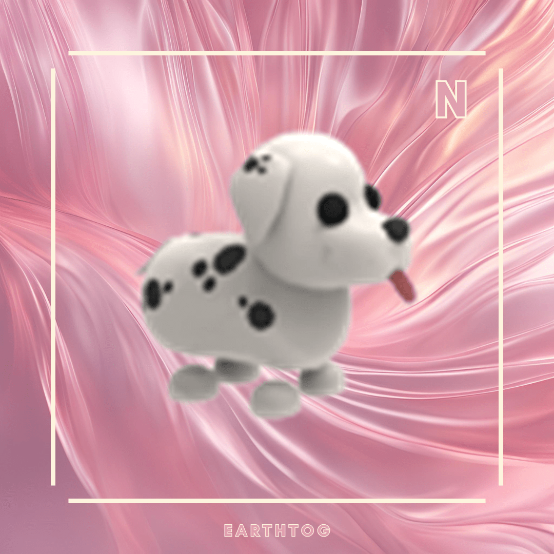 NFR Dalmatian - Earthtog.com