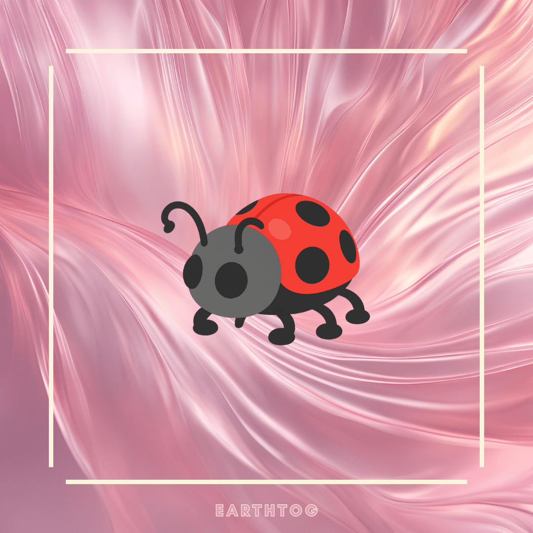 NFR Ladybug - Earthtog.com